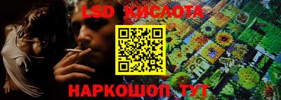 прущие грибы Малгобек