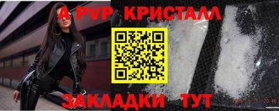 прущие грибы Малгобек